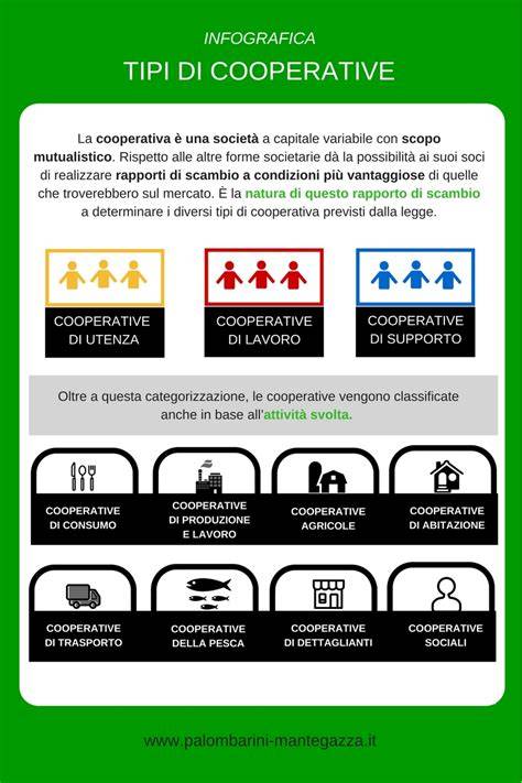 Infografica schematica dei servizi socio-sanitari ed educativi offerti dalla cooperativa