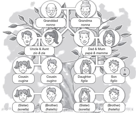 Infografica che illustra l'albero genealogico della famiglia Riina-Bagarella e il legame con la struttura gerarchica di Cosa Nostra.