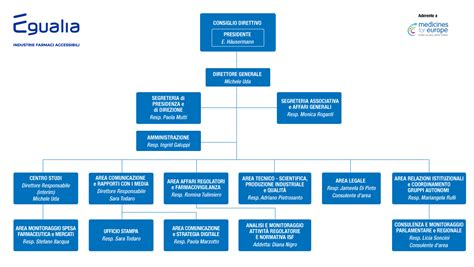 Organigramma che illustra la struttura operativa di CEI Srl