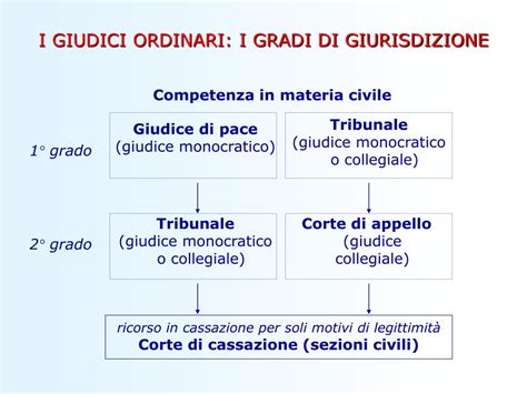 Schema del processo giudiziario: imputazioni, gradi di giudizio e sentenze