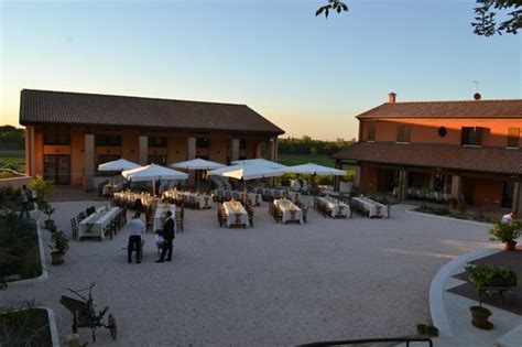 Vigneti della Collina dei Poeti a Santarcangelo
