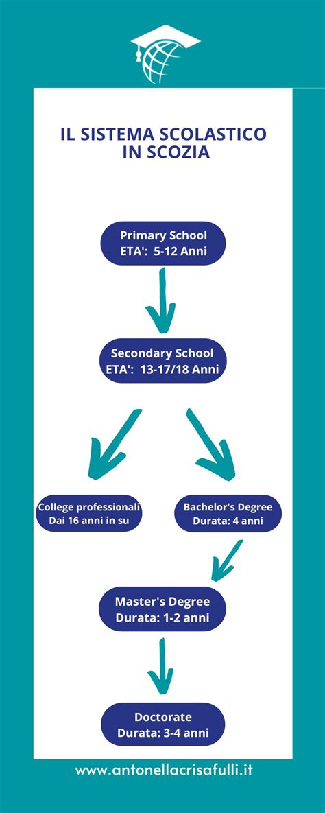 Infografica sulla struttura del sistema scolastico italiano e i suoi cicli