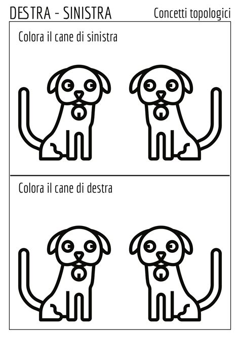 Infografica sui concetti di