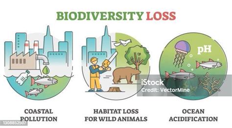 Schema che illustra le diverse cause di perdita di salute dell'eroe (avventure, combattimenti, carenza di grano)