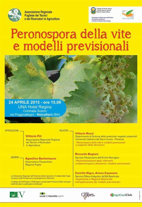 Infografica: La cristianizzazione dei riti agrari, con raffigurazioni di Ambarvalia, Robigalia e una processione cristiana