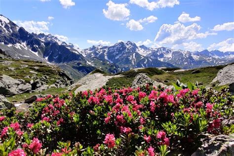 Foto panoramica del sentiero che si snoda tra la vegetazione mediterranea in direzione dell'Abbazia