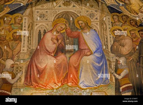 Foto dell'affresco della Vergine della Deposizione o di un dettaglio del mosaico pavimentale
