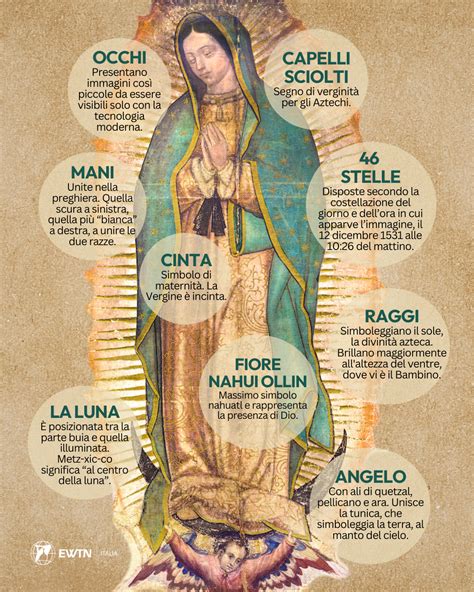 Infografica sulla Tilma di Guadalupe e le sue caratteristiche