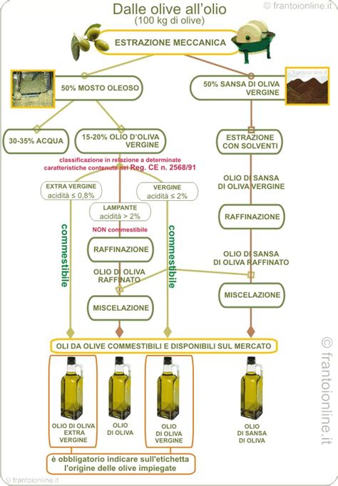 Illustrazione storica di frantoio a molazze per la produzione di olio d'oliva