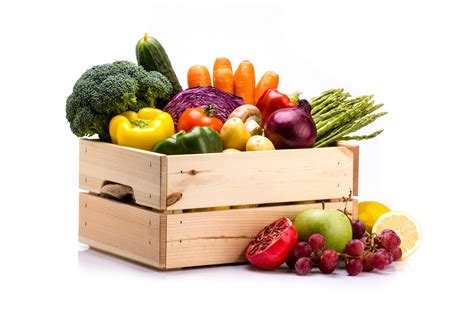 Cesto di frutta e verdura biologica appena raccolta dalla fattoria