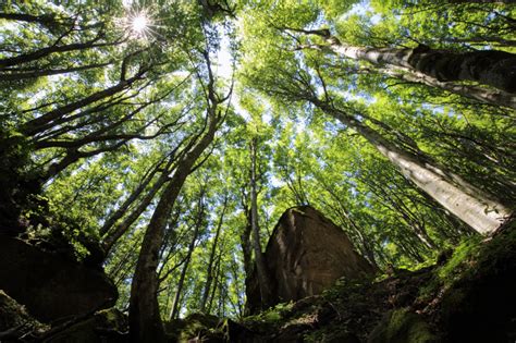 Mappa del Parco Nazionale delle Foreste Casentinesi con l'ubicazione dell'Eremo di Camaldoli