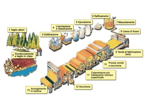 Infografica che illustra il processo di lavorazione del prosciutto, dall'arrivo della materia prima al confezionamento.
