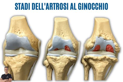 Infografica con i 