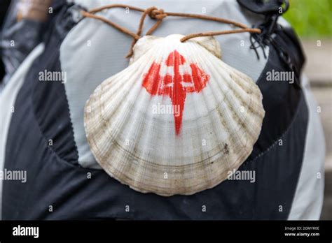 Foto ravvicinata della conchiglia del pellegrino appesa a uno zaino