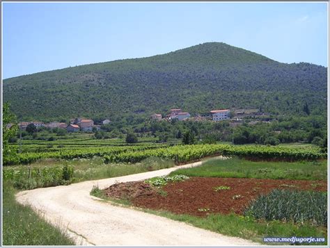 Pellegrini che salgono la collina del Podbrdo, con sassi e vegetazione
