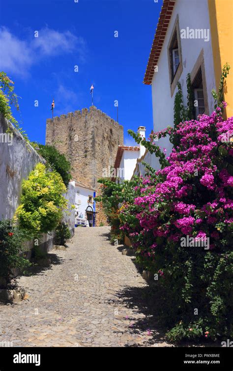 Immagine panoramica della cittadina medievale di Obidos, Portogallo