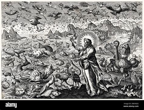Rappresentazione della Creazione divina