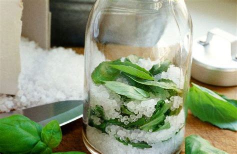 Infografica con le diverse opzioni di conservazione del basilico