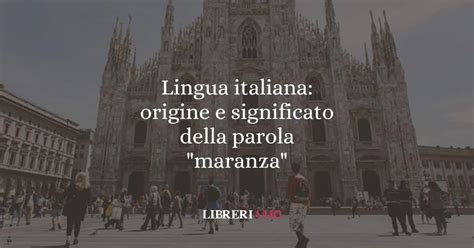 Infografica sulla provenienza e il significato della parola