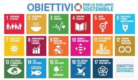 Infografica sui 17 Obiettivi di Sviluppo Sostenibile dell'ONU