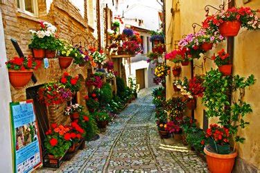 Immagine del borgo fiorito di Spello
