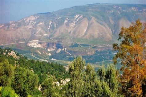 Paesaggio con vigneti sulle Alture del Golan con il Monte Hermon sullo sfondo