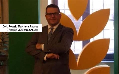 Foto di gruppo del direttivo di Confagricoltura Sicilia con Rosario Marchese Ragona dopo la riconferma