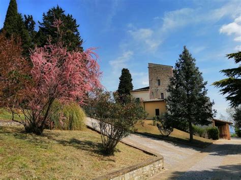 Vista aerea di una casa per ferie ad Assisi con un grande parco verde e la Basilica in lontananza