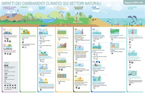 Infografica sulla classificazione teologica dei miracoli