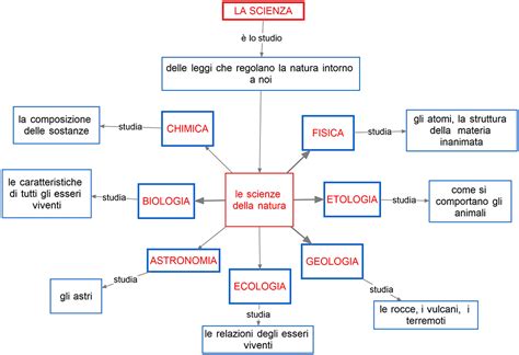 schema concettuale che illustra la relazione tra scienze sociali, filosofia e servizio sociale, evidenziando i rispettivi ambiti di indagine.