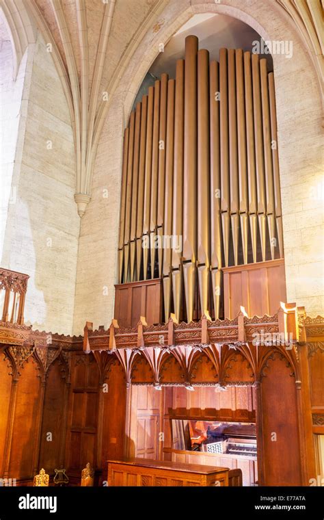 Foto di un organo a canne maestoso all'interno di una chiesa