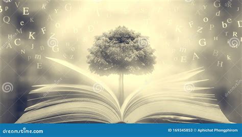 illustrazione di una chiave che apre un libro antico o un portale stilizzato con simboli biblici