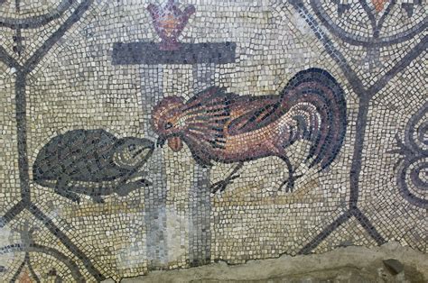 Mosaico con raffigurazioni animali e simboliche dall'Aula Nord, Cripta degli Scavi