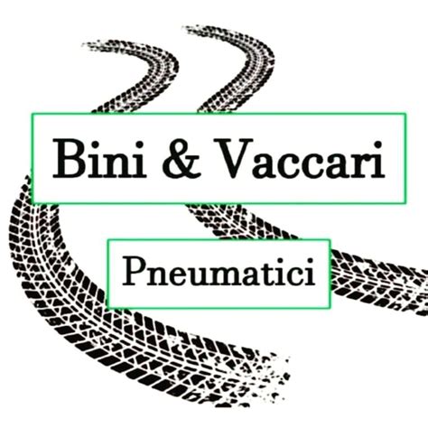 Foto esterna del negozio BINI & VACCARI PNEUMATICI o logo aziendale