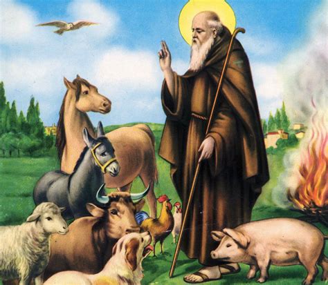 Sant'Antonio Abate con il maialino e il bastone a Tau