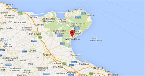 Ritratto di Re Manfredi e mappa della fondazione di Manfredonia