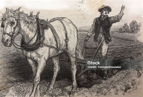 Illustrazione simbolica di un aratro che traccia un solco dritto in un campo, metafora di focalizzazione e cammino spirituale.