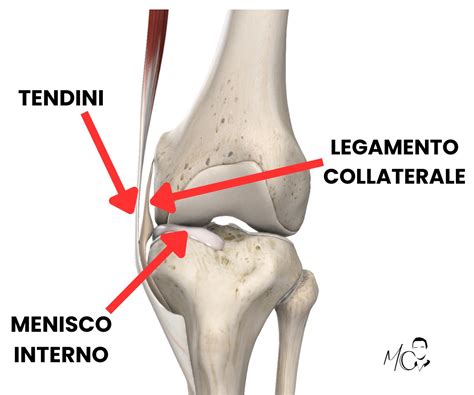 Illustrazione del gesto liturgico della genuflessione: il ginocchio destro che tocca terra mentre il corpo rimane eretto e il capo leggermente chino.