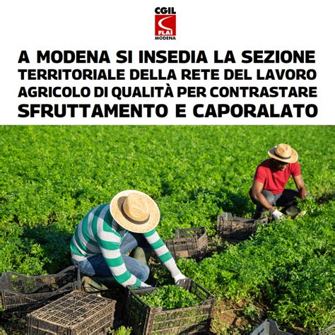 Illustrazione del lavoro agricolo in Sicilia e supporto ai migranti
