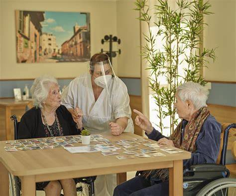 Schema che illustra le attività e i servizi offerti dal Centro Diurno Integrato