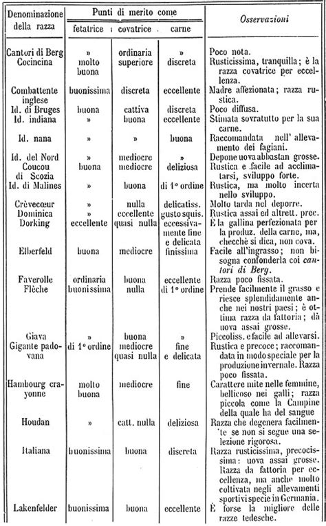 Tavola comparativa delle specifiche tecniche di diverse collane rosario in oro per uomo