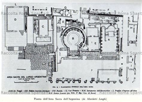 Pianta schematica dell'area sacra di Arezzo in epoca romana e paleocristiana