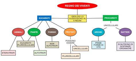 Schema che illustra le principali caratteristiche di un cavallo sportivo