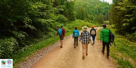 Foto di gruppo di persone che camminano insieme in un ambiente naturale, simbolo di inclusione sociale e attività ricreative
