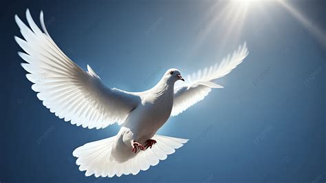 Una colomba bianca in volo su uno sfondo di pace