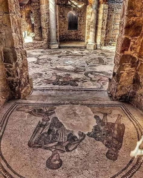 Dettaglio dei mosaici pavimentali con figure animali e geometriche