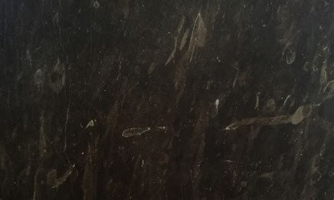 Foto ravvicinata dell'acquasantiera in pietra pece e dei dettagli decorativi del complesso