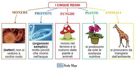 Mappa schematica dei regni del mondo e dei simboli di potere e ricchezza