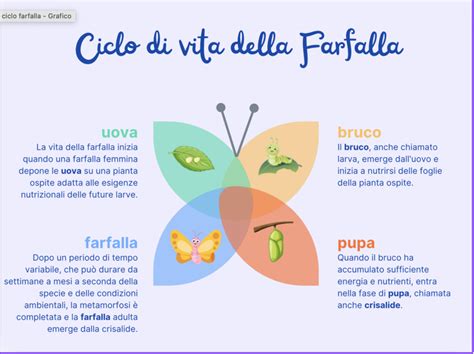 Infografica sul ciclo vitale dell'evangelizzazione e della catechesi