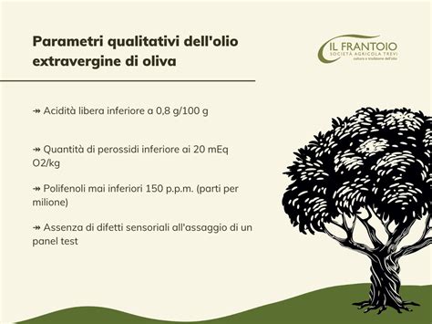 Infografica sulla qualità e i benefici dell'olio extravergine d'oliva di Corato